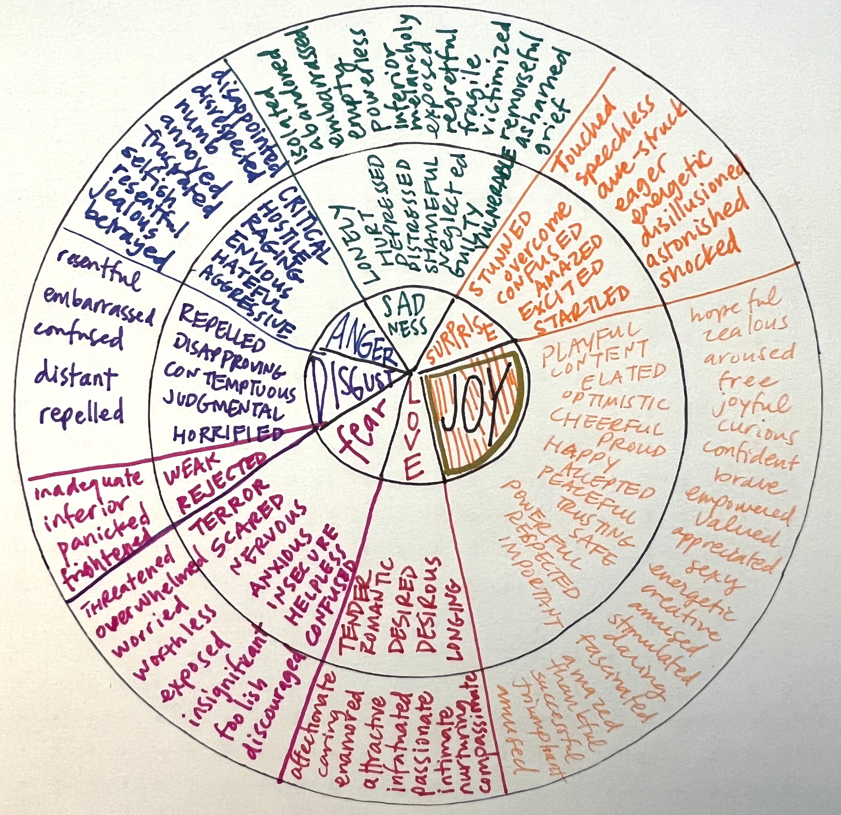 Amer Wheel.pdf Anger Emotion Wheel